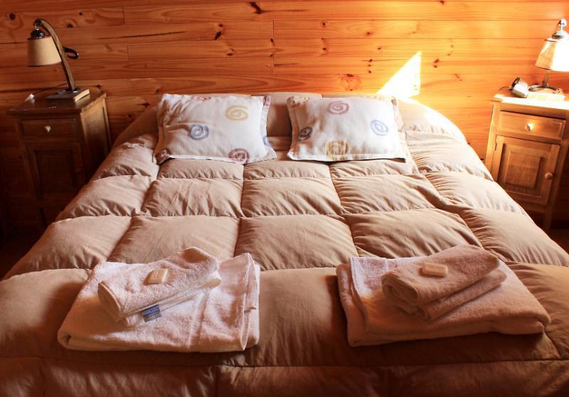 Rotui Apart Hotel San Martín de los Andes Екстериор снимка