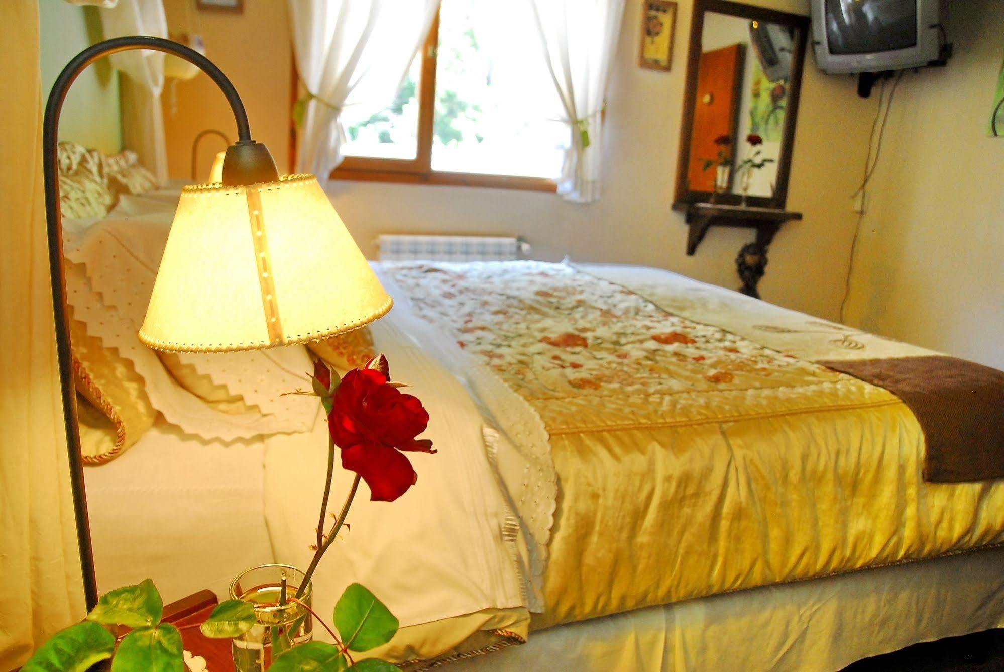 Rotui Apart Hotel San Martín de los Andes Екстериор снимка